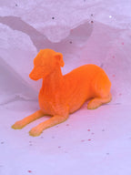 Sitting Greyhound (Orange)