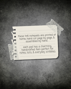 Rainbow Ribbits Note Pad