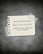 Jack o'Lantern Bat Sticker