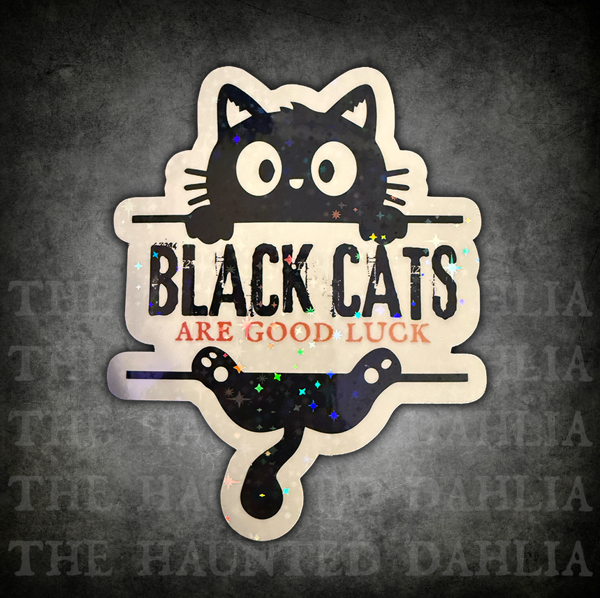 Black Cats Are Good Luck | Sticker